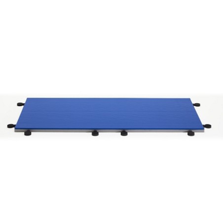 TATAMI JUDO ENTRAINEMENT 200X100X4CM - DIMASPORT
