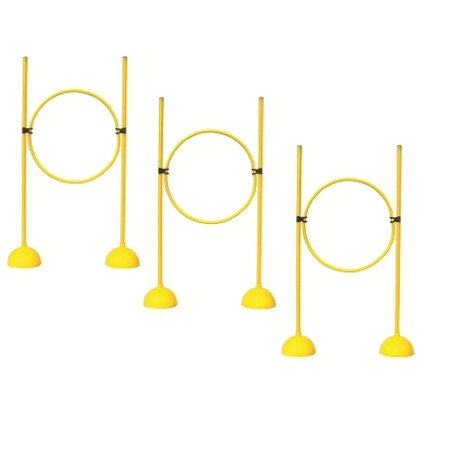 CERCEAUX POUR VISÉE / CIBLE DE LANCER - LOT DE 3 - DIMASPORT