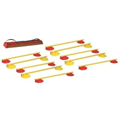 Haie multi fonction soucoupes hauteur 5cmlot de 10