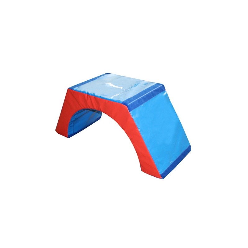 MODULE DE MOTRICITÉ PONT