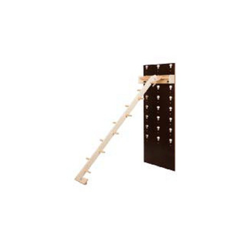 DEMI ECHELLE POUR BOXES PARKOUR ENTRAINEMENT POLYVALENT | CUBESPORT