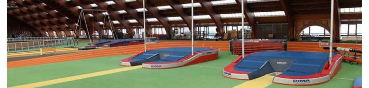 POLE VAULT LANDING SYSTEMS