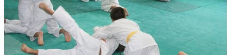 TATAMIS DE JUDO ET ARTS MARTIAUX