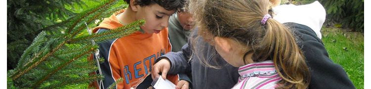 ORIENTEERING | SPORT EQUIPMENT | DIMASPORT