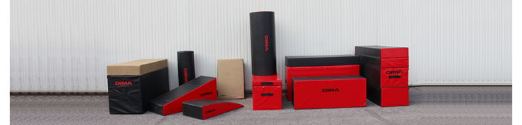 PARKOUR ET FREERUNNING