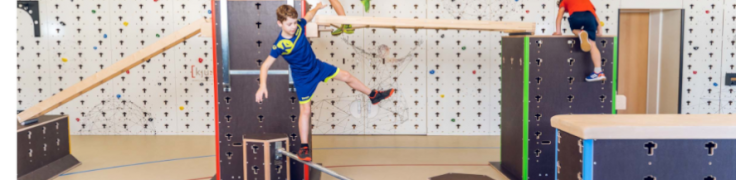 EQUIPEMENT BOIS POLYVALENT GYMNASTIQUE ET PARKOUR | CUBESPORT 